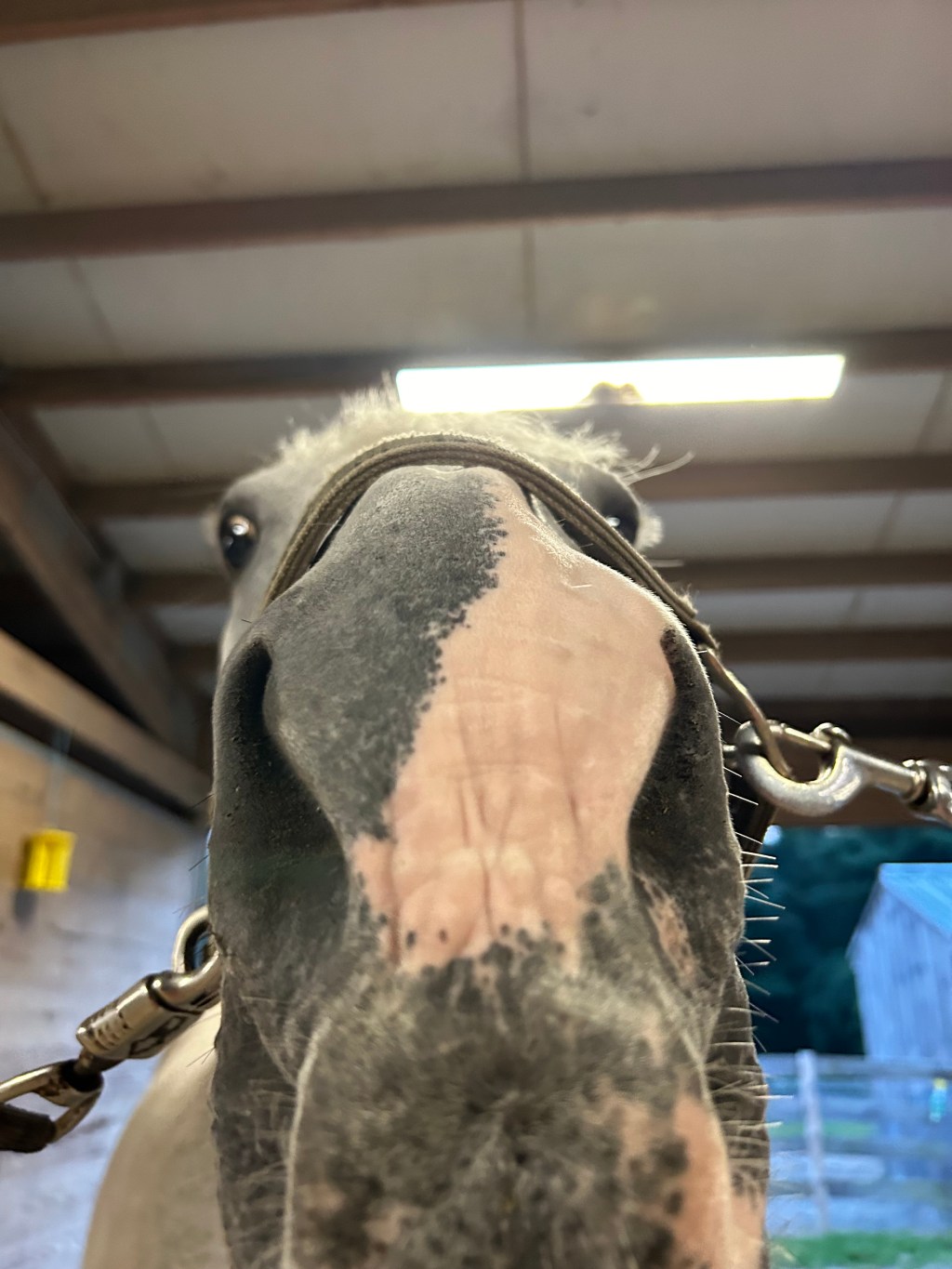 Lesson Buddy or Ride&nbsp;Solo