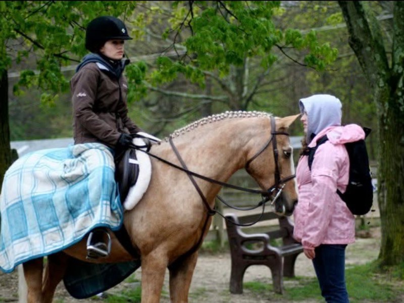 Horse Show Back Pack&nbsp;Essentials