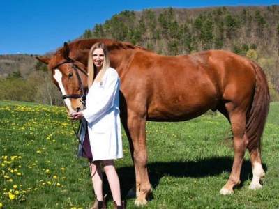 Saddle to Surgery –         Between the Ears with        Adult Ammy and Equine Vet, Dr.&nbsp;Zitzmann