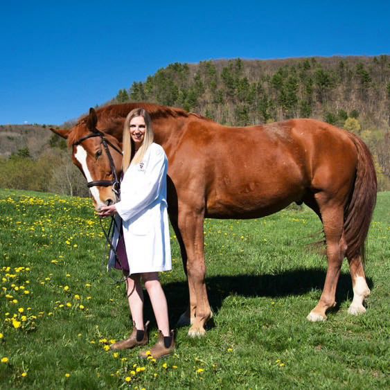 Saddle to Surgery –         Between the Ears with        Adult Ammy and Equine Vet, Dr.&nbsp;Zitzmann